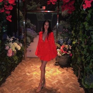 Meet your Posher, Shelby